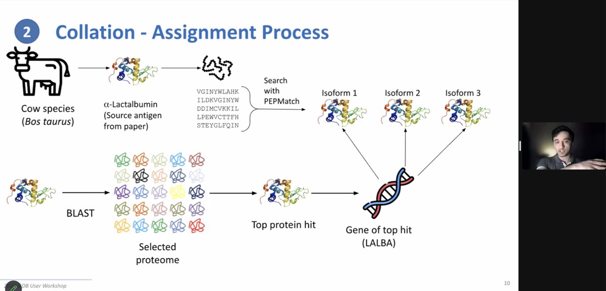 iedb_'s tweet image. Our last talk of the 2024 IEDB Virtual User Workshop sees @danielmarrama present the latest project between the @iedb_, UniProt, Protein Ontology and iPTMnet. Collaborations such as this help make our data FAIR (Findable, Accessible, Interoperable, Reusable) #iedbuw2024