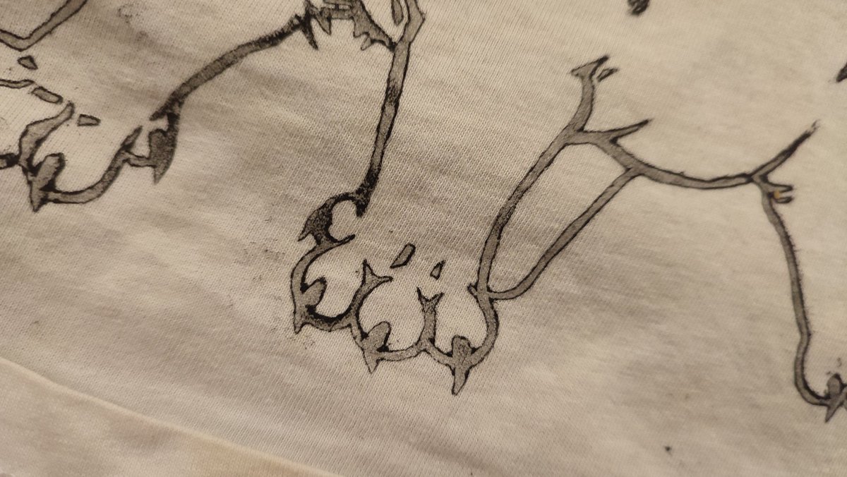 Robin | ➡️ BSKY tweet media