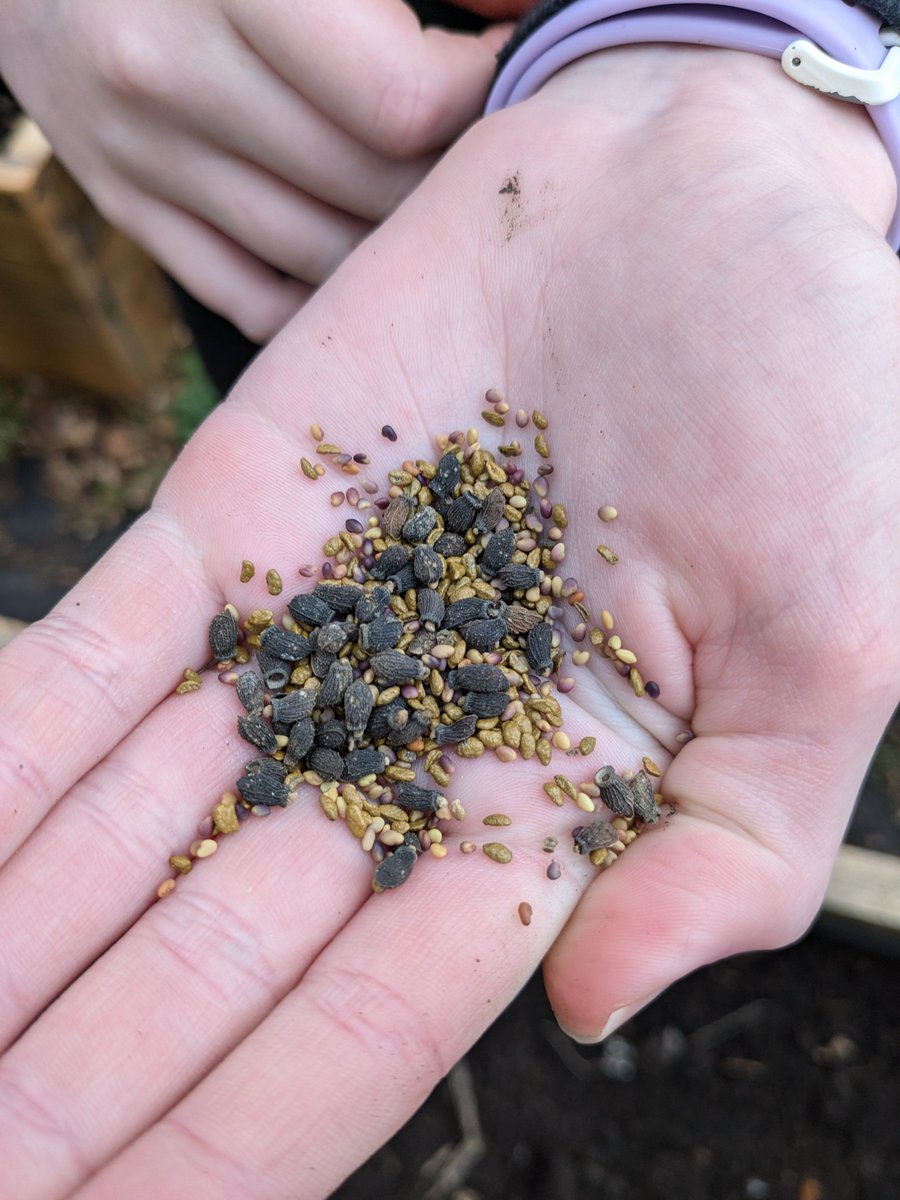 Pupil Support tweet media