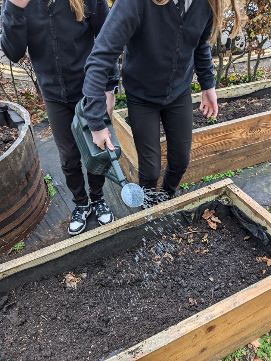 Pupil Support tweet media