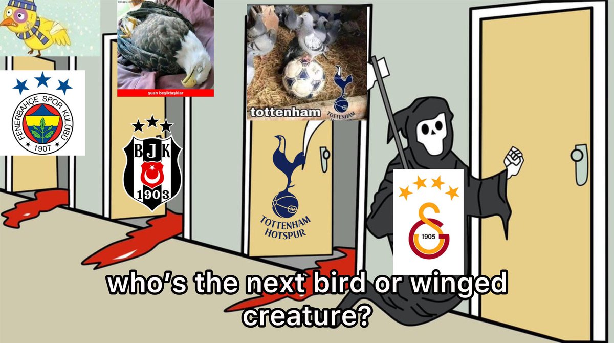 Sıradaki kuş ??? 🦁🦁👐

 #GSvTOT #UEL #Osimhen