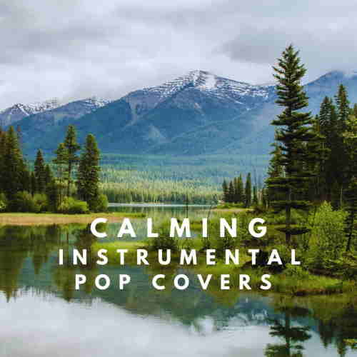 KrisztianPalmai's tweet photo. Calming Instrumental Pop Covers on @pandoramusic 
https://t.co/9T2W4rSHlc
@pandoraAMP https://t.co/St6Rw2Pmov