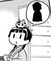 keiuzuki's tweet photo. Cat Cat. https://t.co/v1AezKLOqe