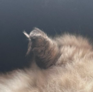 Jon Hemmerdinger tweet media