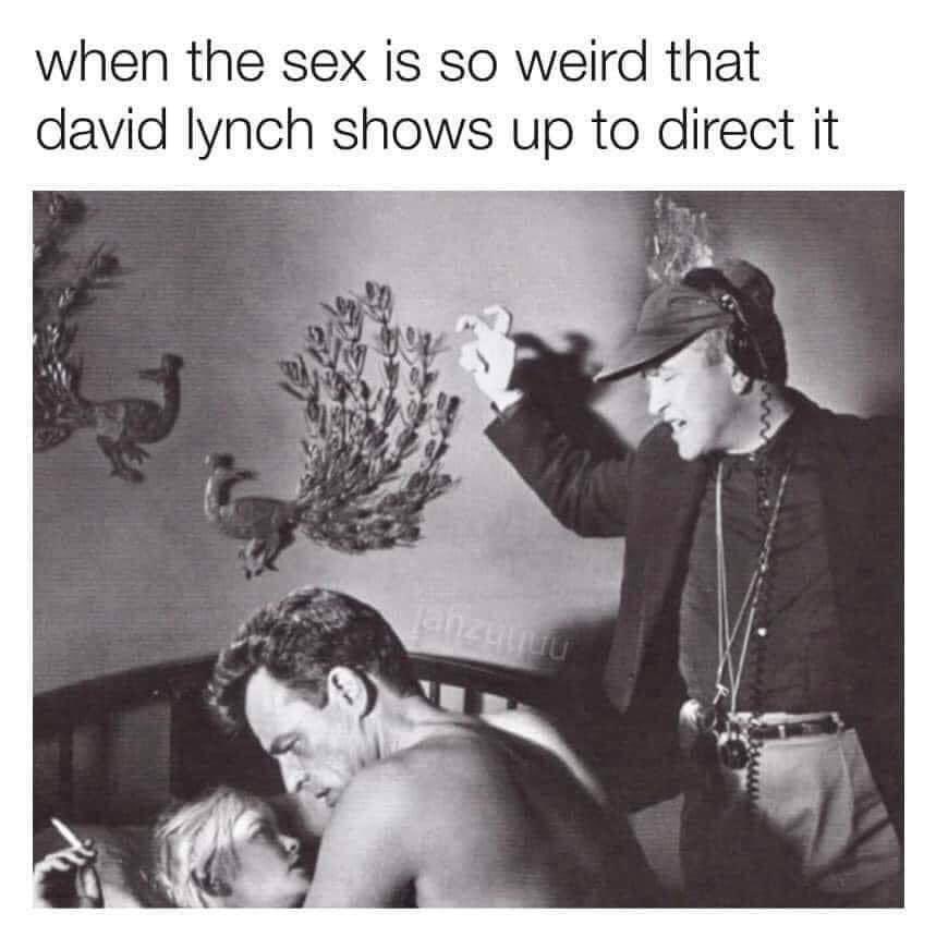 🥀Sarah 🥀 tweet media