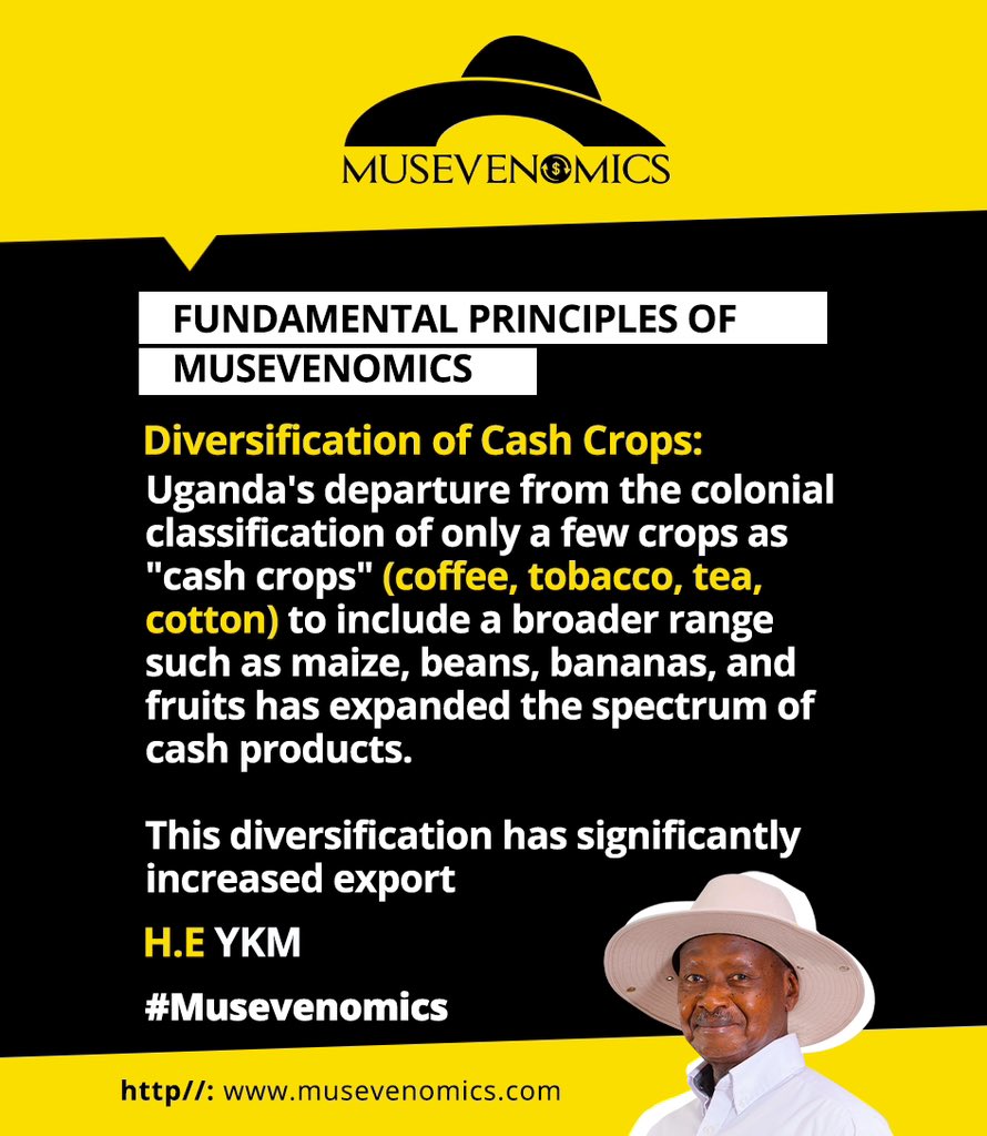 musevenomics7's tweet photo. @ntvuganda @KagutaMuseveni AND ALSO DIVERSIFY CASH CROPS https://t.co/oEKFSCLHRo