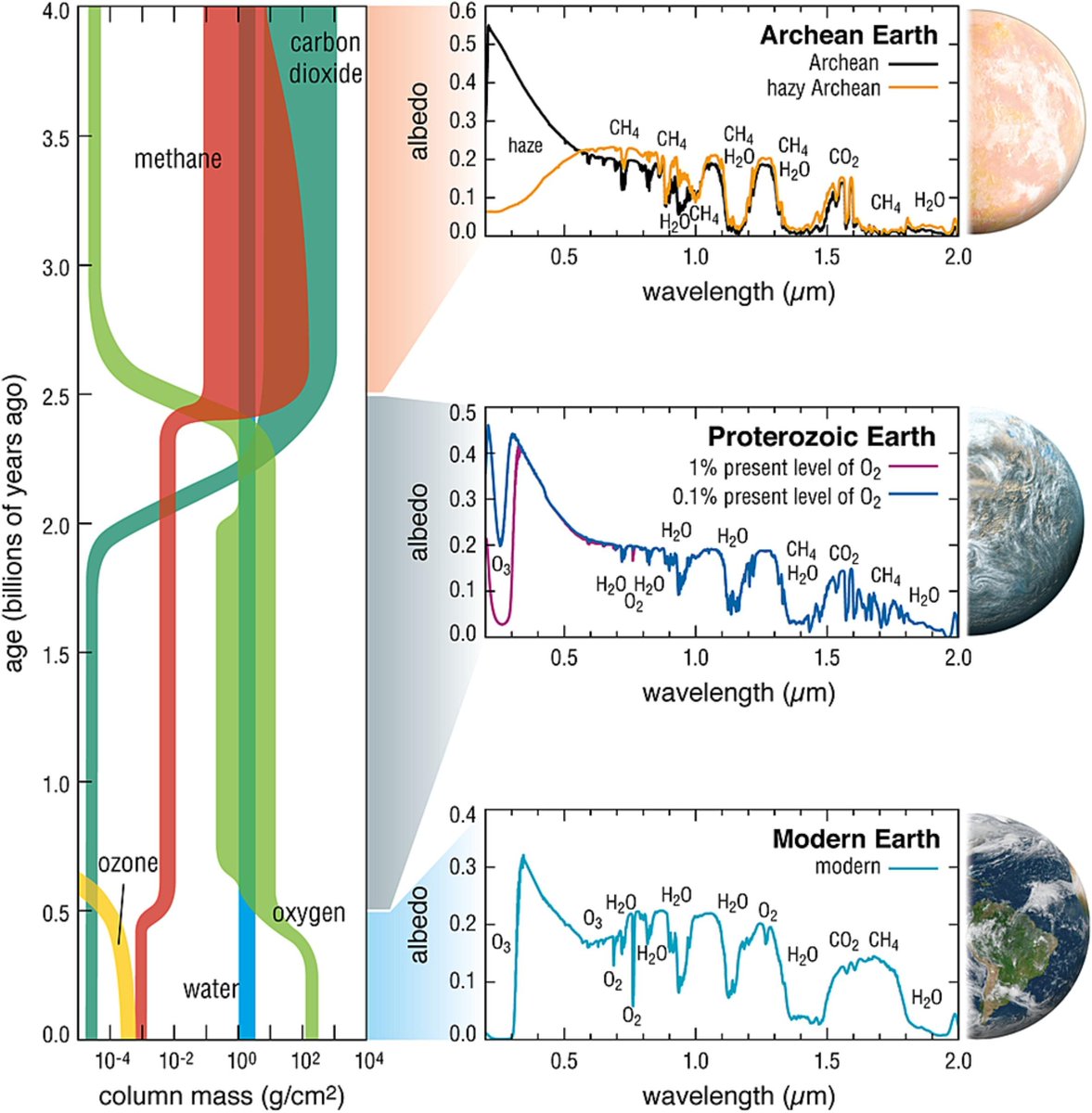 Big article reviewing Earth-Life co-evolution in the Precambrian.
"The interaction of life and Earth was and is reciprocal, hence the term biogeodynamics...." True.
sciencedirect.com/science/articl…