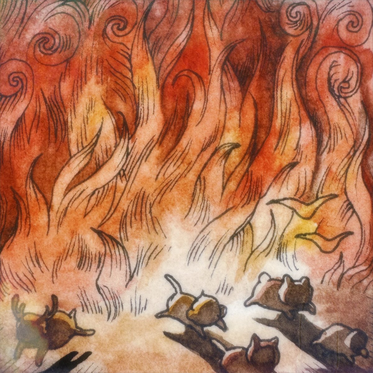 annalaura_art's tweet image. I wish I was a better storyteller to make sense of tragedy. I anchor myself to this: love is not just a sentiment, it is the birthplace of change. We are stronger, smarter and more resilient than hate and hopelessness.