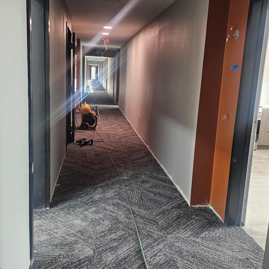 MVE Architects tweet media