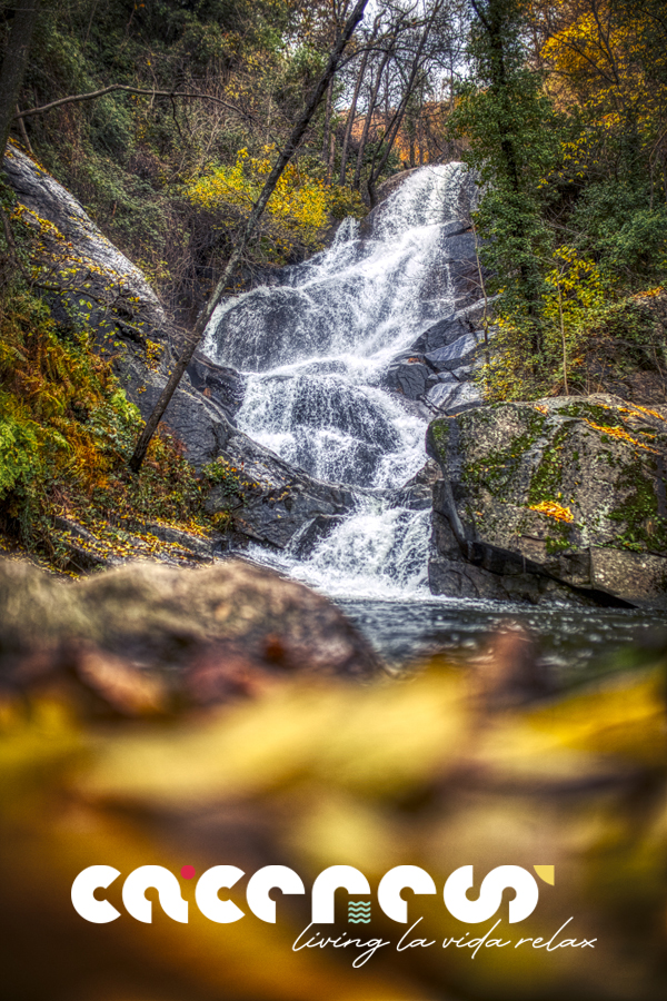 Turismo Provincia Cáceres (@turismo_dipcc) on Twitter photo ✅En el #ValledelJerte y tras las lluvias otoñales, cascadas como el Caozo, las Nogaledas, Marta, Calderón... cobran vida, creando paisajes de ensueño entre bosques teñidos de tonos rojizos, anaranjados y dorados 💦🍁
Cáceres, #livinglavidarelax
<a href="/DiputacionCC/">DiputacionCC</a>
<a href="/extremadura_tur/">Extremadura Turismo</a> ✅En el #ValledelJerte y tras las lluvias otoñales, cascadas como el Caozo, las Nogaledas, Marta, Calderón... cobran vida, creando paisajes de ensueño entre bosques teñidos de tonos rojizos, anaranjados y dorados 💦🍁
Cáceres, #livinglavidarelax
<a href="/DiputacionCC/">DiputacionCC</a>
<a href="/extremadura_tur/">Extremadura Turismo</a>