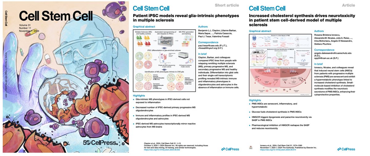 VFossati (she, her) (@fossati_v) on Twitter photo Proud to see our image selected for the November <a href="/CellStemCell/">Cell Stem Cell</a> cover, spotlighting two papers from my lab and <a href="/Pluchinolab/">Pluchino lab - Regenerative Neuroimmunology</a> that showcase the power of patient stem cell-derived models to study multiple sclerosis. (1/2) Proud to see our image selected for the November <a href="/CellStemCell/">Cell Stem Cell</a> cover, spotlighting two papers from my lab and <a href="/Pluchinolab/">Pluchino lab - Regenerative Neuroimmunology</a> that showcase the power of patient stem cell-derived models to study multiple sclerosis. (1/2)