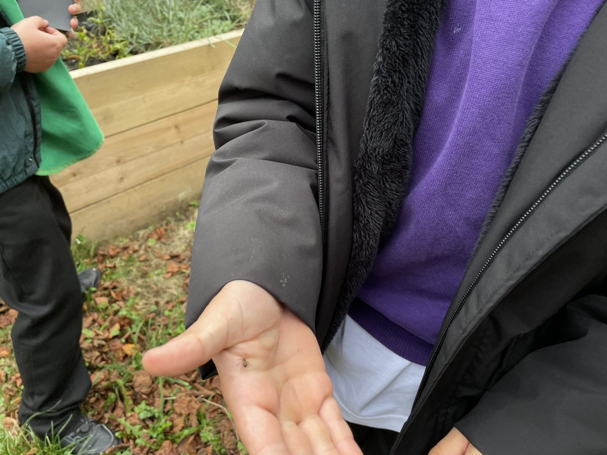 bedlingtonstationprimary tweet media