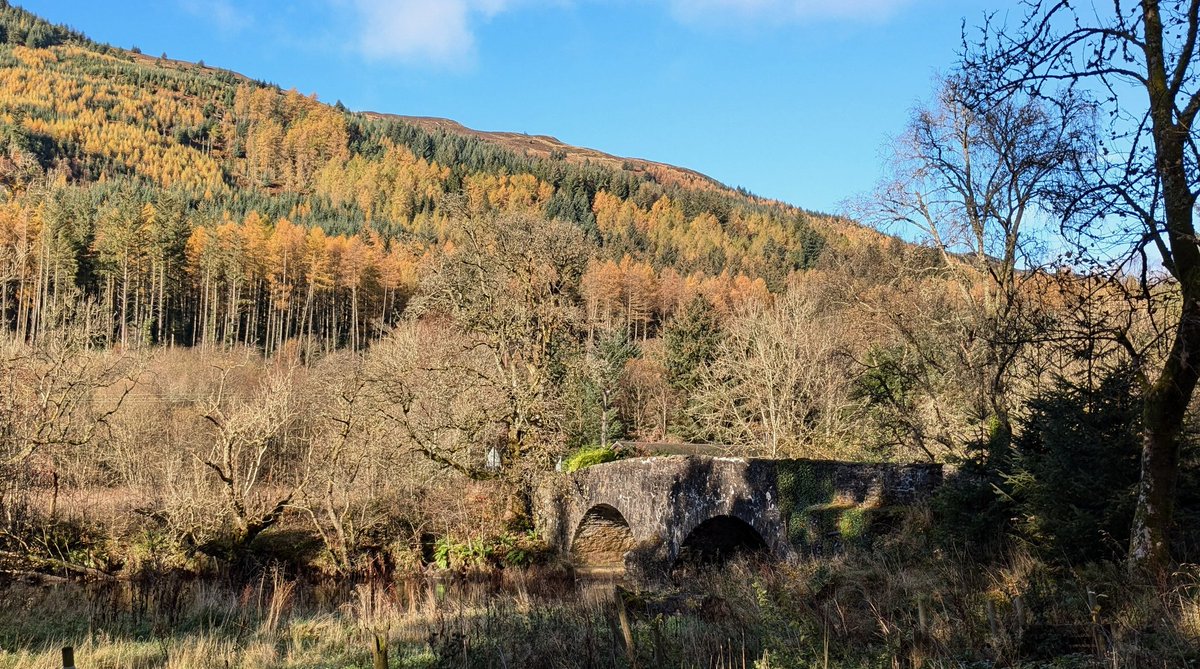 ARMstew's tweet image. Strathyre / Callander last week. Beautiful in the Autumn.