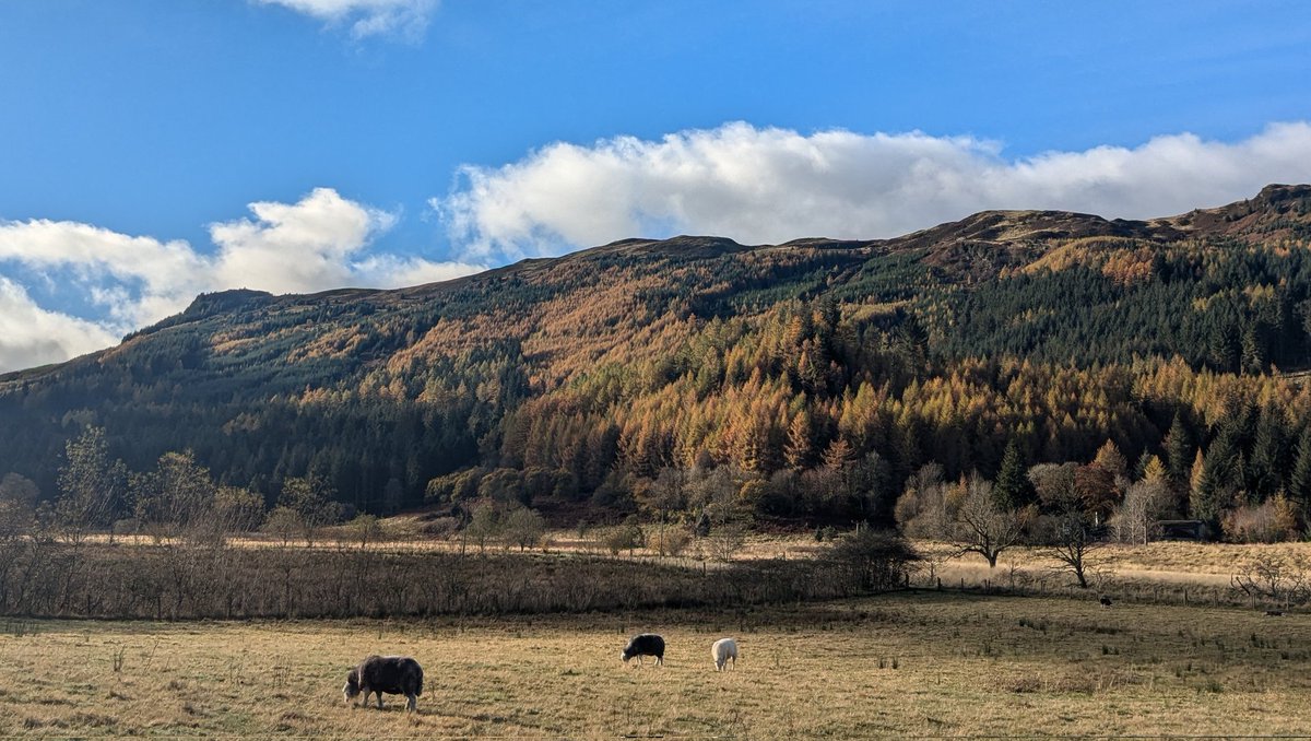 ARMstew's tweet image. Strathyre / Callander last week. Beautiful in the Autumn.