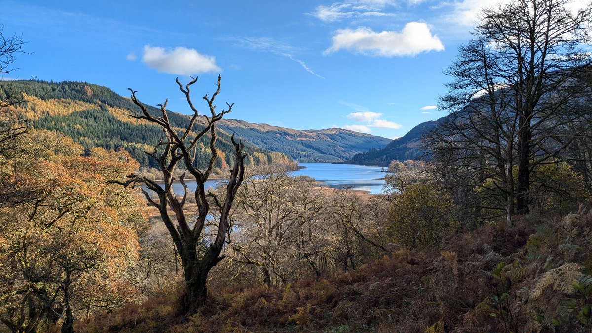ARMstew's tweet image. Strathyre / Callander last week. Beautiful in the Autumn.