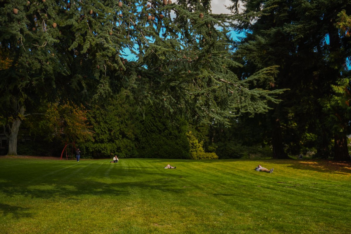 One last fall appreciation post before we head into winter. 🍂 🍁 ❄️ ☃️ #YouW 

📷 : <a href="/csalfilm/">csalfilm</a>