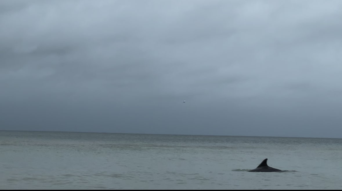 lo_bowers's tweet photo. already missing the ocean and the calm that comes with it https://t.co/CKnwTwZH0P