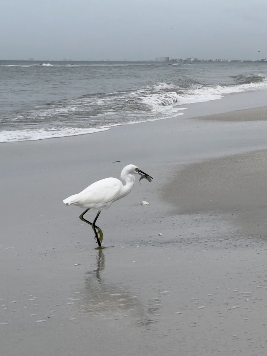 lo_bowers's tweet photo. already missing the ocean and the calm that comes with it https://t.co/CKnwTwZH0P