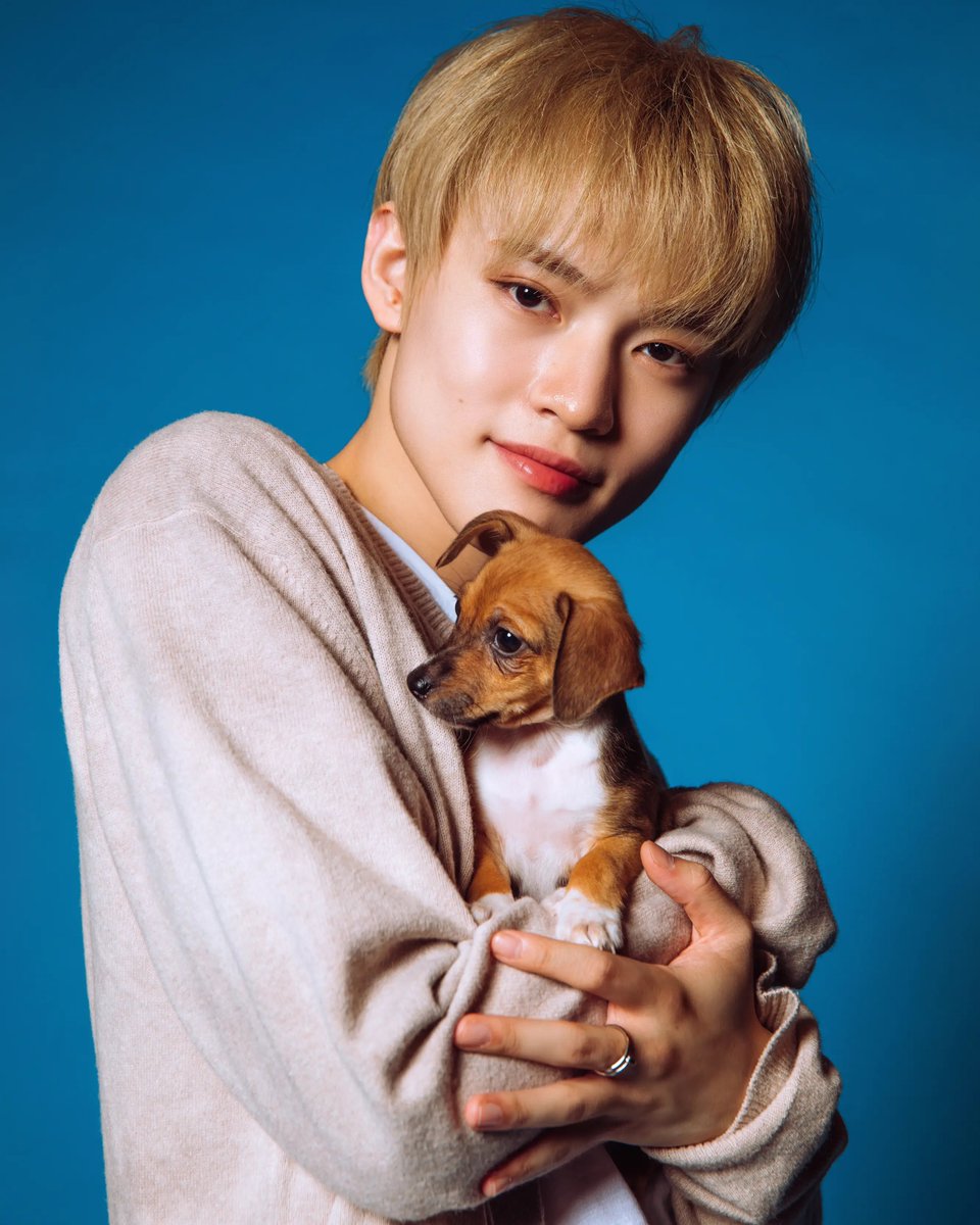 ZCLFEED's tweet photo. #chenle is the cutest 😭💙 https://t.co/XvXYZ6buK5
