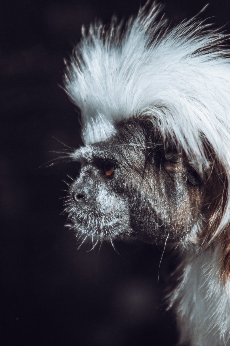 Tellement fier de mes photos 😍