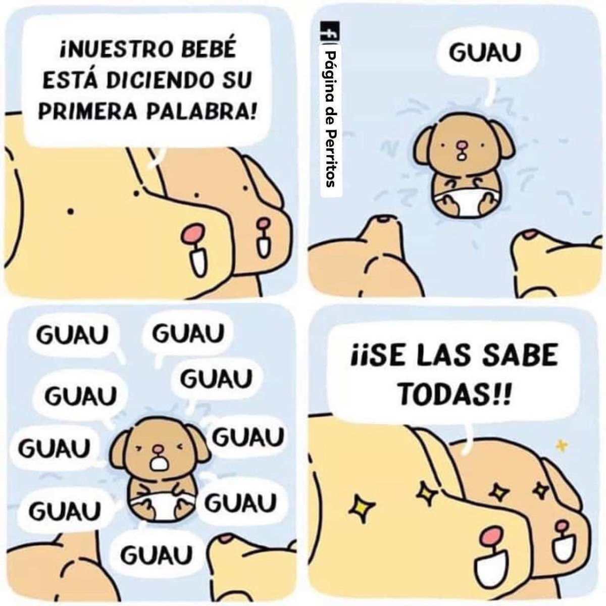DiloConPerritos's tweet photo. Crecen tan rápido 🥲 https://t.co/9buX9YvmHw