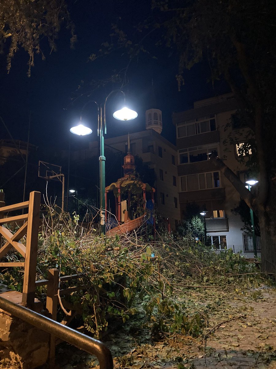 bu mevsimi seviyorum