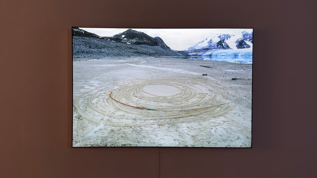 Red Head Gallery tweet media