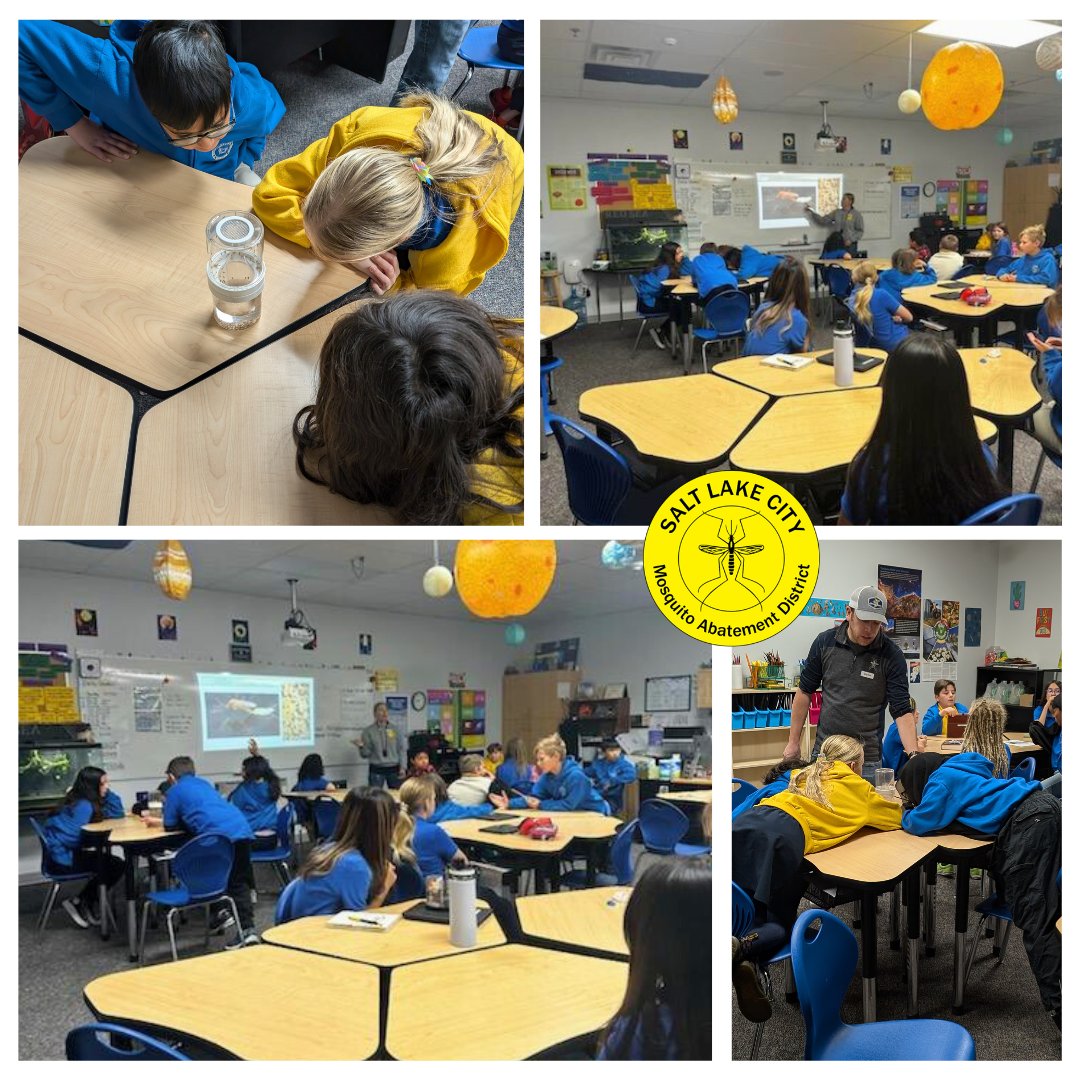 SLCMAD (@slc_mosquito) on Twitter photo Our second time back to <a href="/BeehiveAcademy/">Beehive S&T Academy</a>! The students rock! Thanks for having us. 🙌
#mosquitoes #stem #stemeducation Our second time back to <a href="/BeehiveAcademy/">Beehive S&T Academy</a>! The students rock! Thanks for having us. 🙌
#mosquitoes #stem #stemeducation