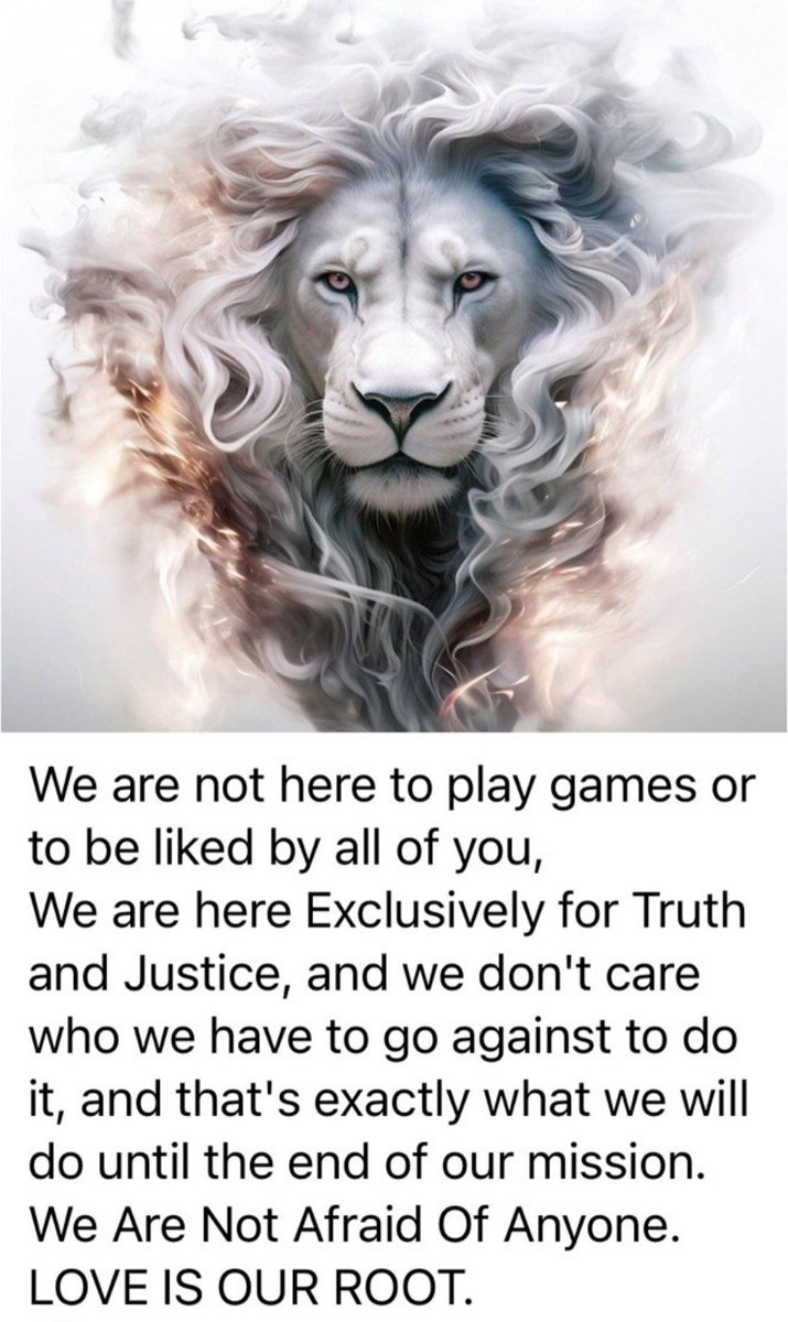 Qurious Cat tweet media