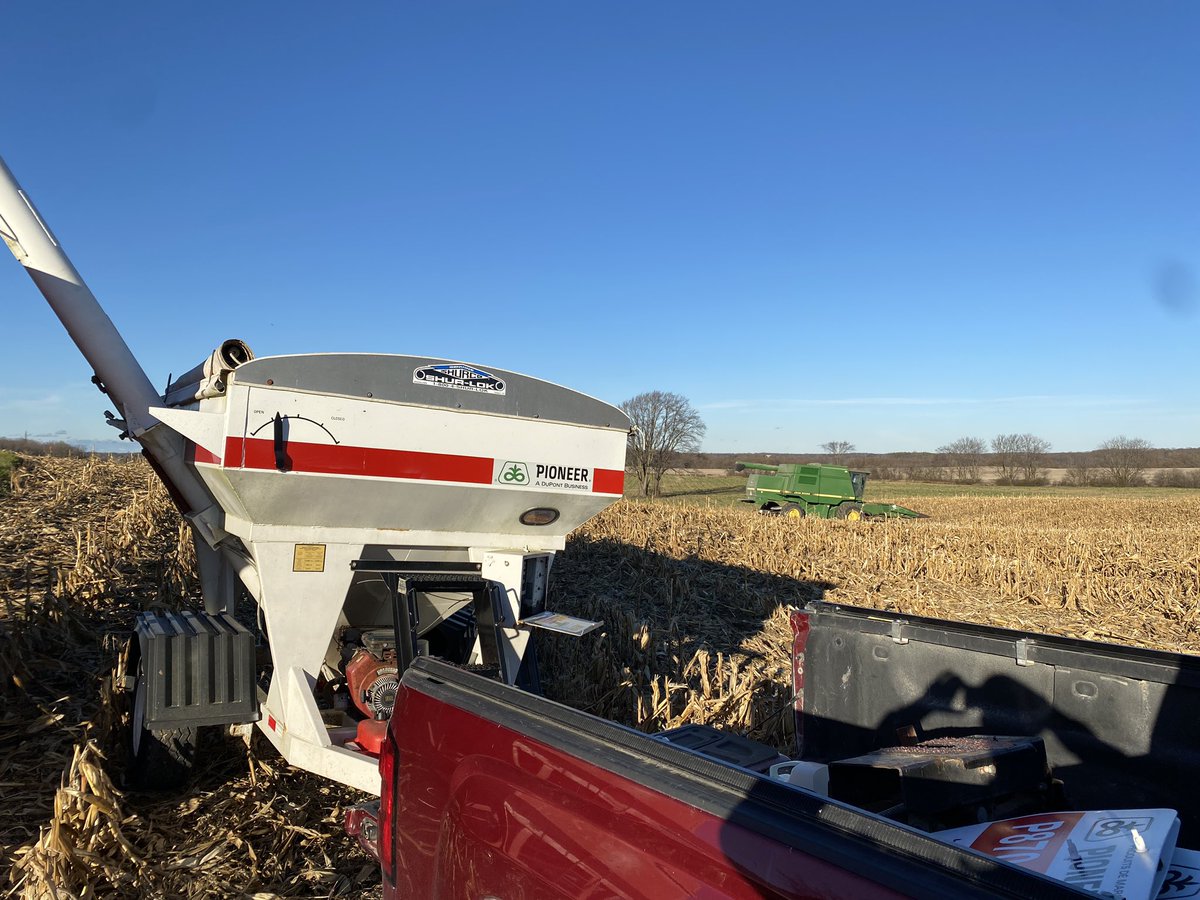 Toddridge Farm Services Ltd. (@toddridgefarm) on Twitter photo Final corn plot of the year! Some earlier day hybrids in this plot showing good results <a href="/PioneerSeedsCA/">Pioneer Seeds Canada</a> <a href="/RebeccaJo20/">Rebecca-Jo Vestergaard</a> Final corn plot of the year! Some earlier day hybrids in this plot showing good results <a href="/PioneerSeedsCA/">Pioneer Seeds Canada</a> <a href="/RebeccaJo20/">Rebecca-Jo Vestergaard</a>