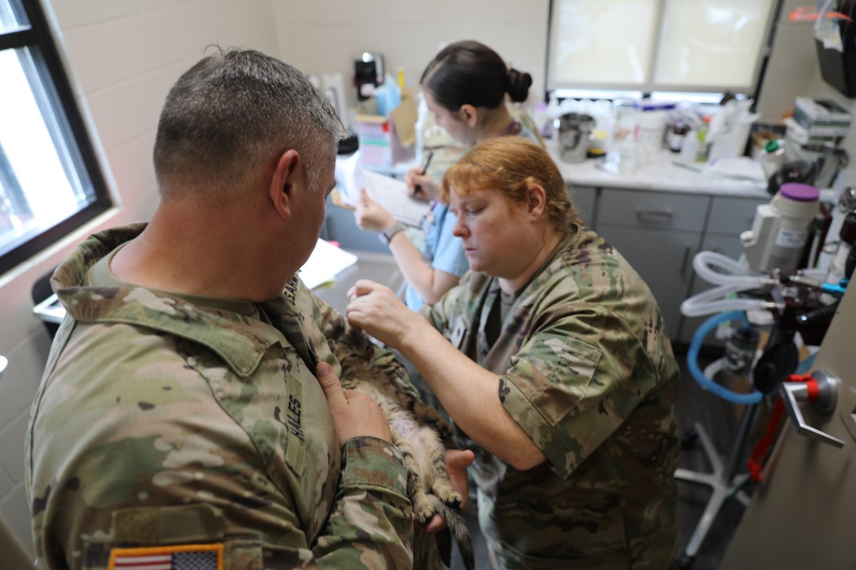 Innovative Readiness Training tweet media