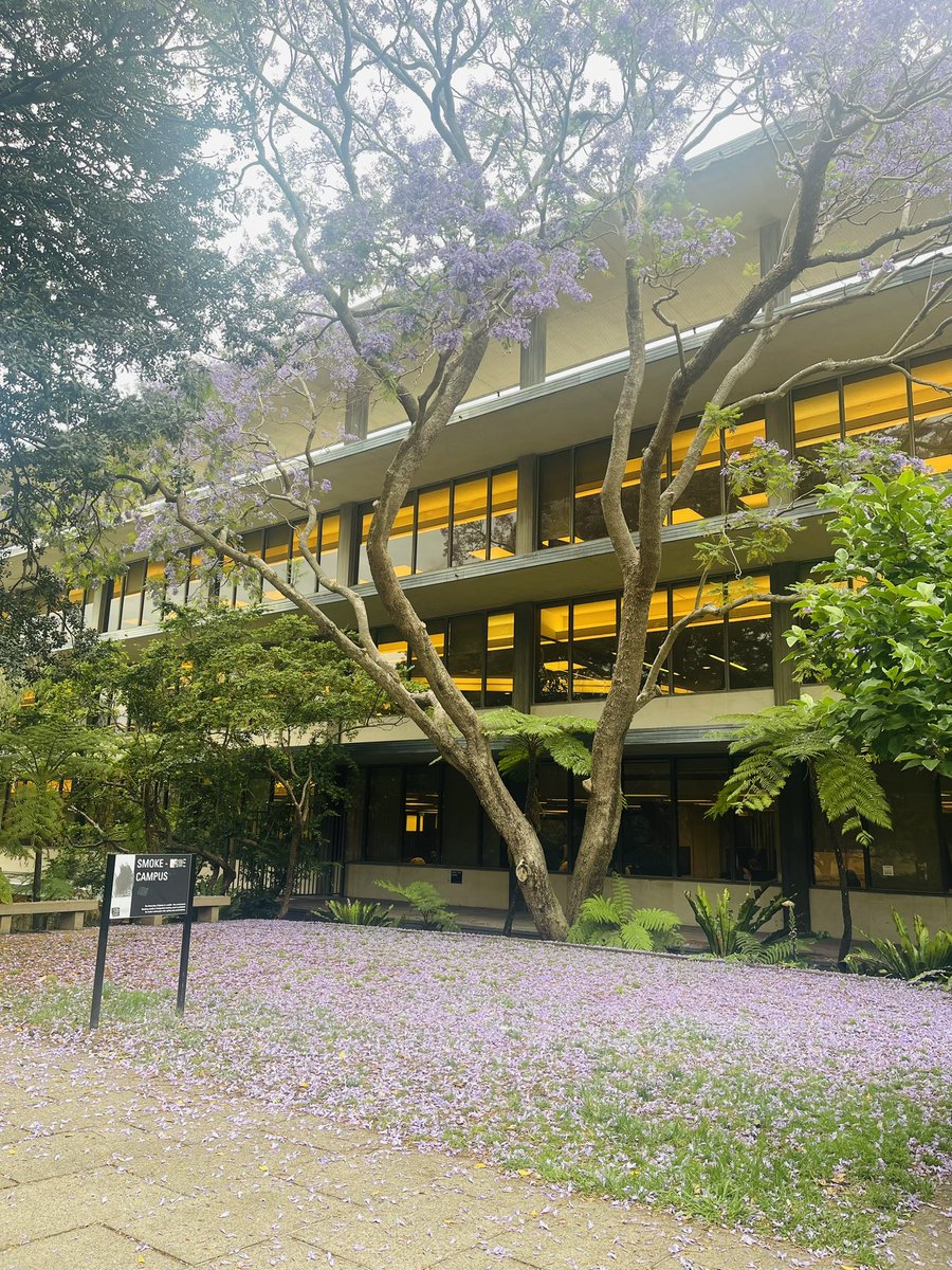 Ashani Amarasinghe (@ashaniamar) on Twitter photo The day is here! The Jacarandas are in full bloom for the Australian Political Economy Network Workshop <a href="/USydneyEcon/">Uni of Sydney Economics</a> today.
Join us for a fantastic day 🤩
Program: dropbox.com/scl/fi/veff0fm…
<a href="/grattonecon/">Gabriele Gratton</a> <a href="/AndrewWait2006/">Andrew Wait</a> The day is here! The Jacarandas are in full bloom for the Australian Political Economy Network Workshop <a href="/USydneyEcon/">Uni of Sydney Economics</a> today.
Join us for a fantastic day 🤩
Program: dropbox.com/scl/fi/veff0fm…
<a href="/grattonecon/">Gabriele Gratton</a> <a href="/AndrewWait2006/">Andrew Wait</a>