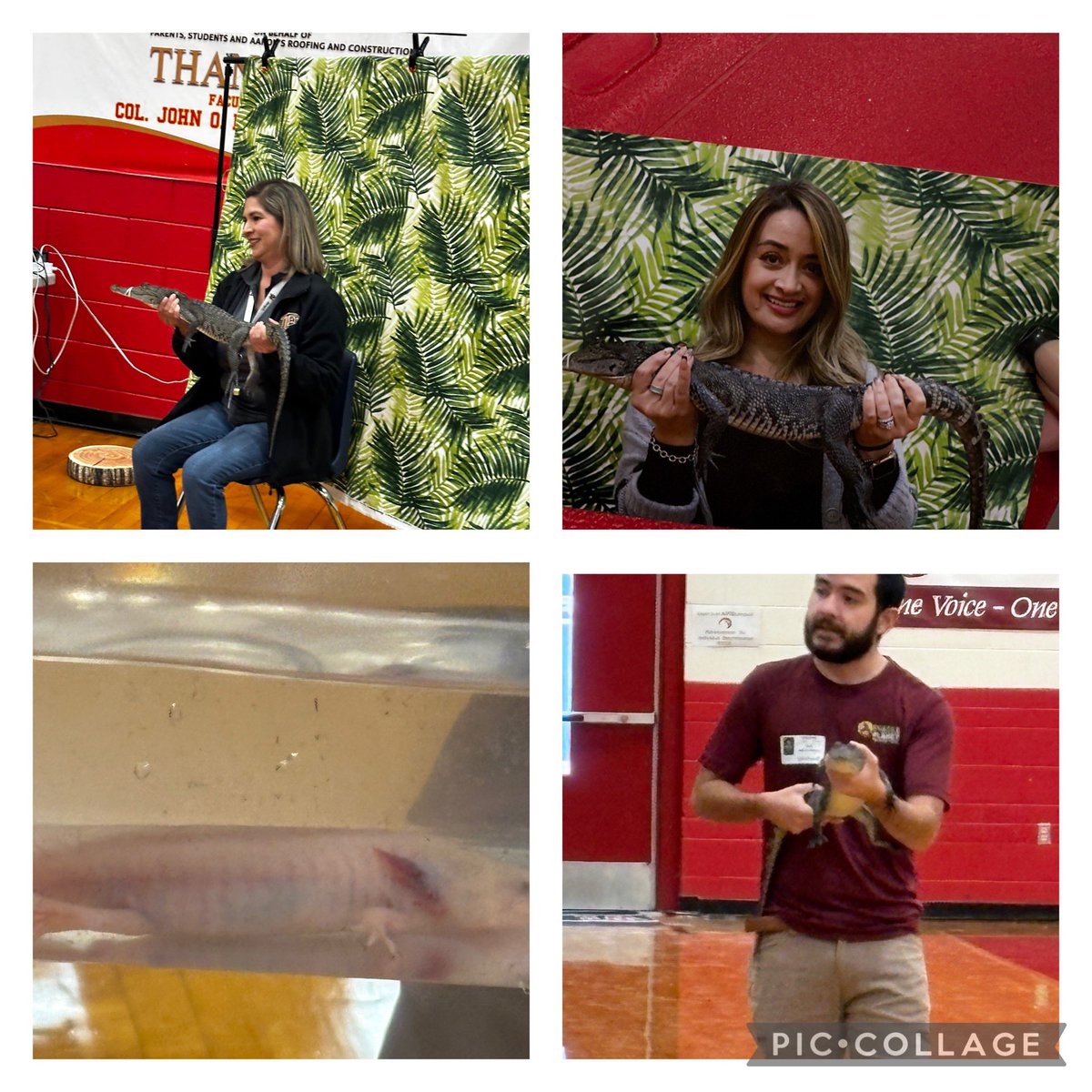 Yvette Aranda (@yaranda_lms) on Twitter photo Thank you Fragile Planet Wildlife for coming to Ensor, very educational and so much fun. Our students enjoyed it. <a href="/Ensor_MS/">Stephen Fernandez</a> <a href="/RKingAragon_EMS/">Renee King-Aragon</a> <a href="/nidiarami_HHES/">Nidia Ramirez</a> Thank you Fragile Planet Wildlife for coming to Ensor, very educational and so much fun. Our students enjoyed it. <a href="/Ensor_MS/">Stephen Fernandez</a> <a href="/RKingAragon_EMS/">Renee King-Aragon</a> <a href="/nidiarami_HHES/">Nidia Ramirez</a>
