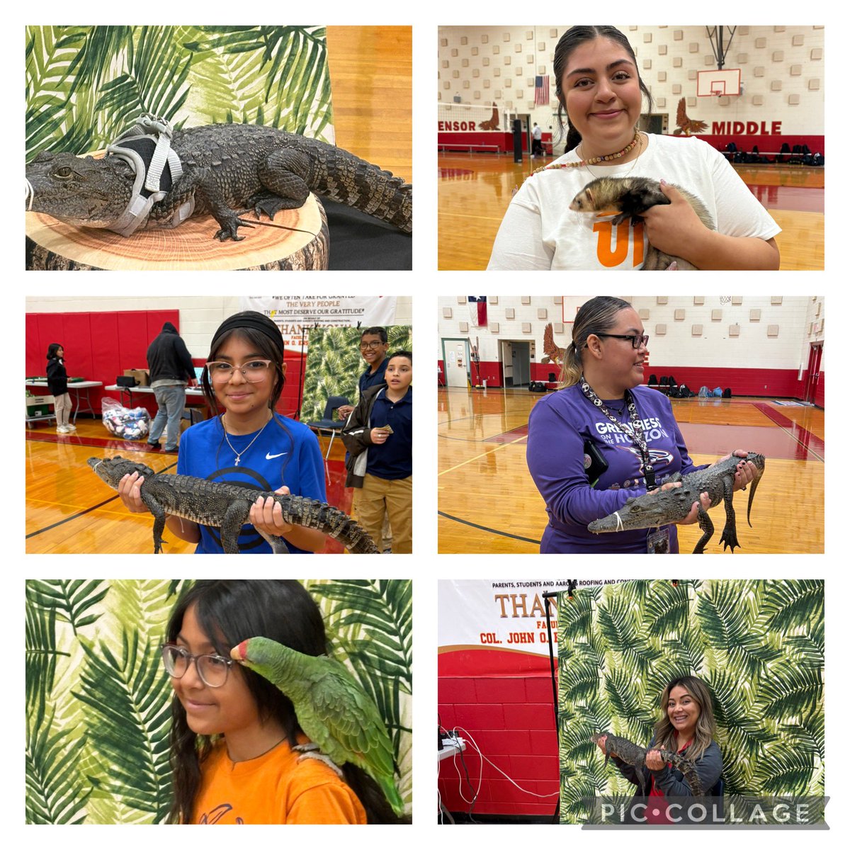 Yvette Aranda tweet media