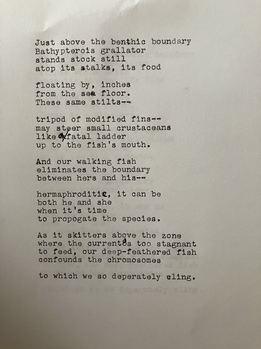 I urge you to look up the tripod fish. In the meantime, read a draft of a little something I wrote @fieldmseum today...