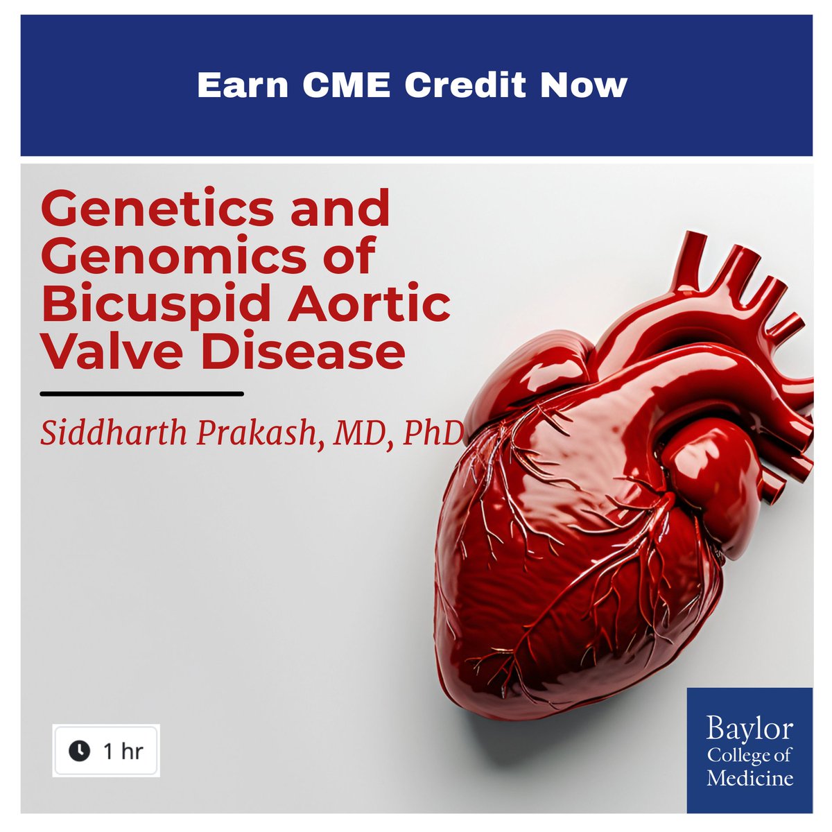 ⚡️Exciting talk by Dr. Siddharth Prakash from <a href="/McGovernMed/">McGovern Med School</a> about his research in #BAV. Watch here: bit.ly/3YCMAgS

For more #Cardiology CME or #JTWillersonCVseminarseries talks, visit clinicianresources.bcm.edu/specialties/ca…

📰Sign up for our CME newsletter to get alerted to talks like