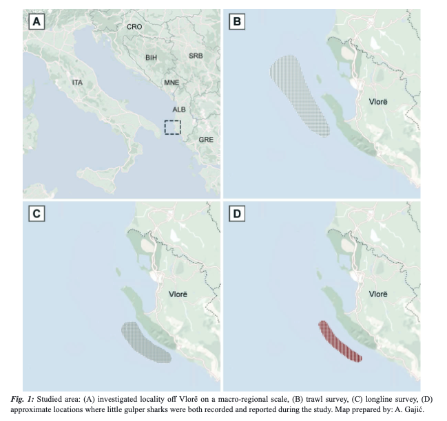 MeditMarSci tweet media