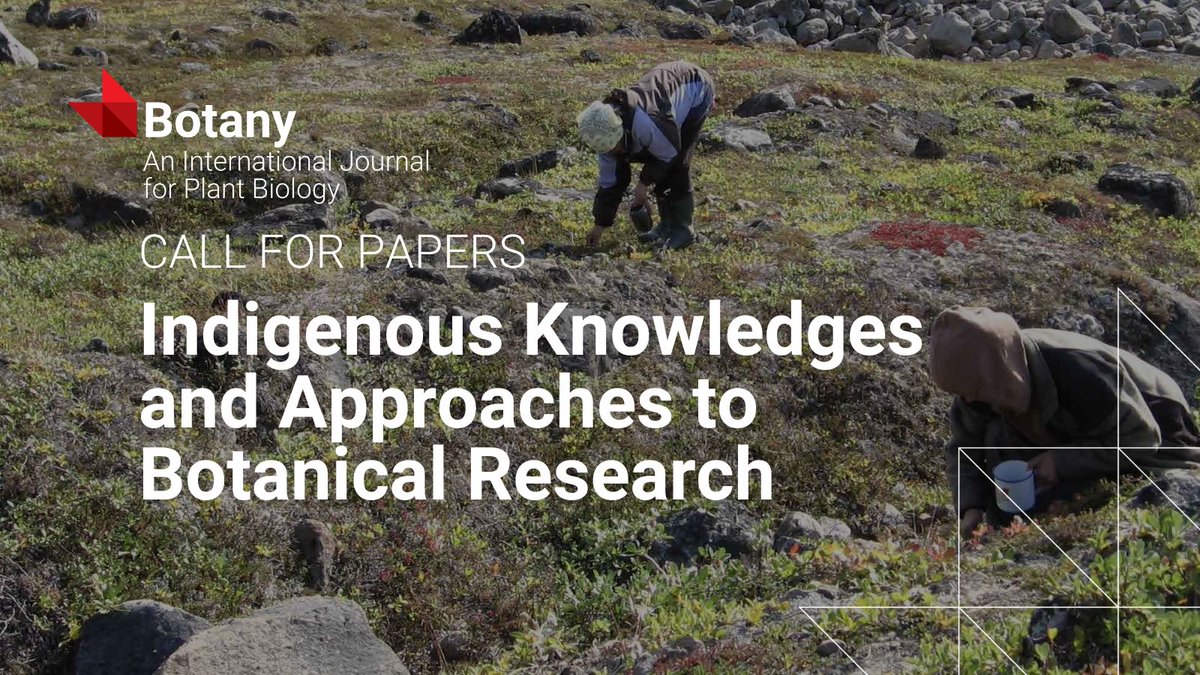 Botany (@botany_journal) on Twitter photo 🌱 Calling all researchers! Botany is seeking perspectives on biodiversity and sustainability through Indigenous Knowledges. Submit by Mar 12, 2025 ▶️ ow.ly/s5Oo50TXaKf
Guest Editors: <a href="/NoemieBLap/">Noémie Boulanger-Lapointe</a> et al. #Biodiversity #BotanyJournal <a href="/CanBotanical/">Can Botanical Assoc</a> <a href="/cspbscbv/">CSPB/SCBV</a> 🌱 Calling all researchers! Botany is seeking perspectives on biodiversity and sustainability through Indigenous Knowledges. Submit by Mar 12, 2025 ▶️ ow.ly/s5Oo50TXaKf
Guest Editors: <a href="/NoemieBLap/">Noémie Boulanger-Lapointe</a> et al. #Biodiversity #BotanyJournal <a href="/CanBotanical/">Can Botanical Assoc</a> <a href="/cspbscbv/">CSPB/SCBV</a>