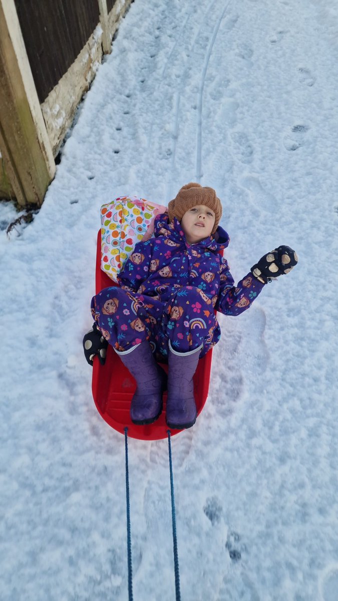 Wild Bears Forest School CIC tweet media