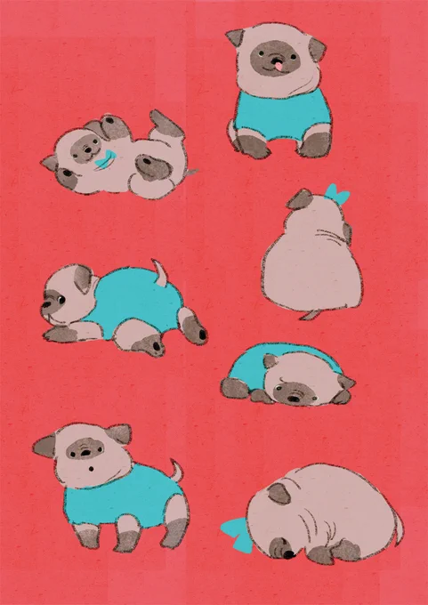 茶色ver パグ 