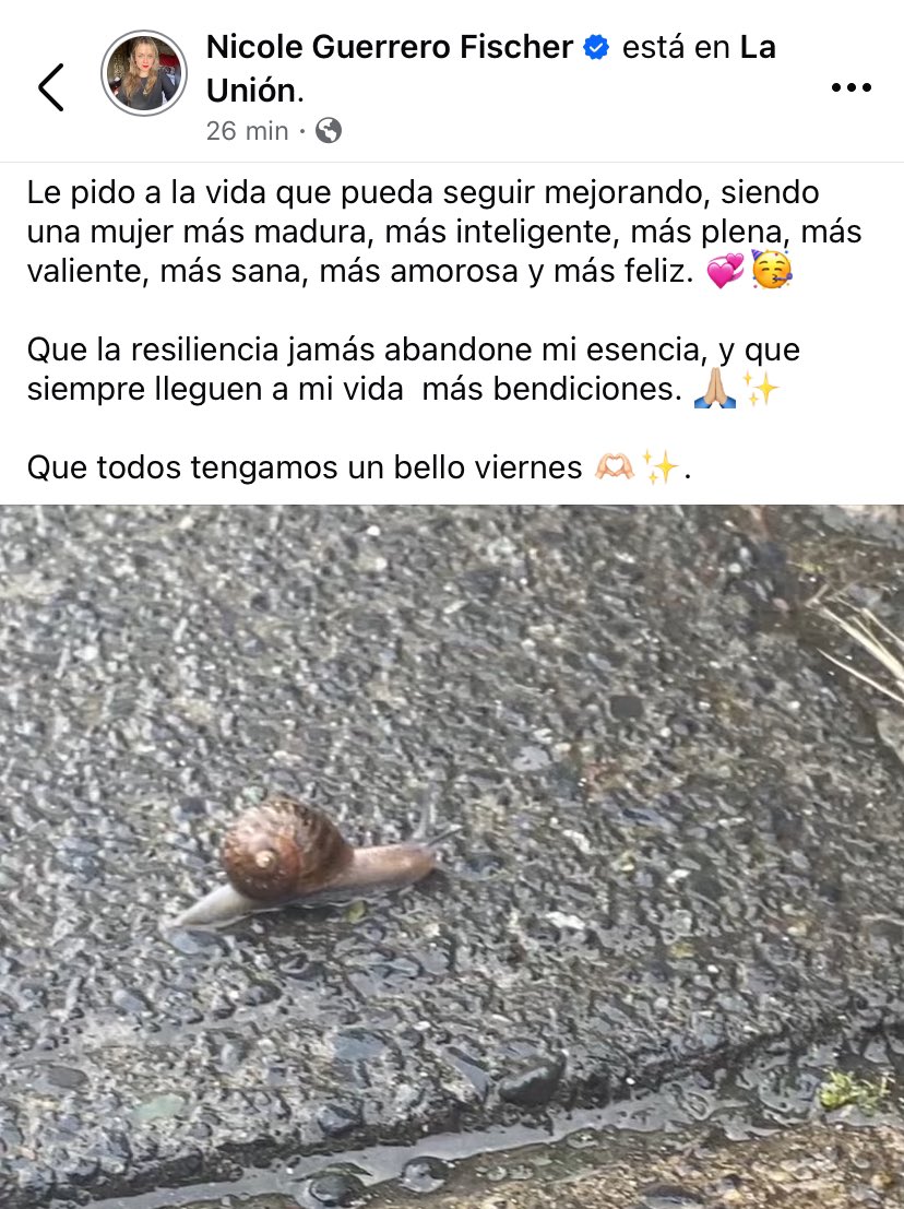GuerreroFischer's tweet photo. Querida vida, gracias por todo lo que me das #viernes #Resilience #VivaChile https://t.co/mzSpwPFSb4