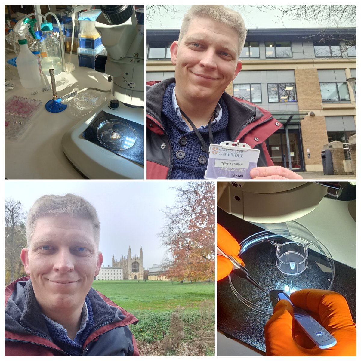 Bart Krist (@bartkrist) on Twitter photo I'm very grateful for the #IDUB funded opportunity allowing me to spend 10 days as Visiting Researcher in the <a href="/AntoranLab/">AntoranLab</a> <a href="/LupinCambridge/">David F. Antoran</a> at the <a href="/GurdonInstitute/">Gurdon Institute</a> <a href="/Cambridge_Uni/">Cambridge University</a> learning about #Epithelioid #culture - excited to bring back this knowledge to <a href="/UAM_IBMiB/">IMBB AMU Poznań</a> ! I'm very grateful for the #IDUB funded opportunity allowing me to spend 10 days as Visiting Researcher in the <a href="/AntoranLab/">AntoranLab</a> <a href="/LupinCambridge/">David F. Antoran</a> at the <a href="/GurdonInstitute/">Gurdon Institute</a> <a href="/Cambridge_Uni/">Cambridge University</a> learning about #Epithelioid #culture - excited to bring back this knowledge to <a href="/UAM_IBMiB/">IMBB AMU Poznań</a> !