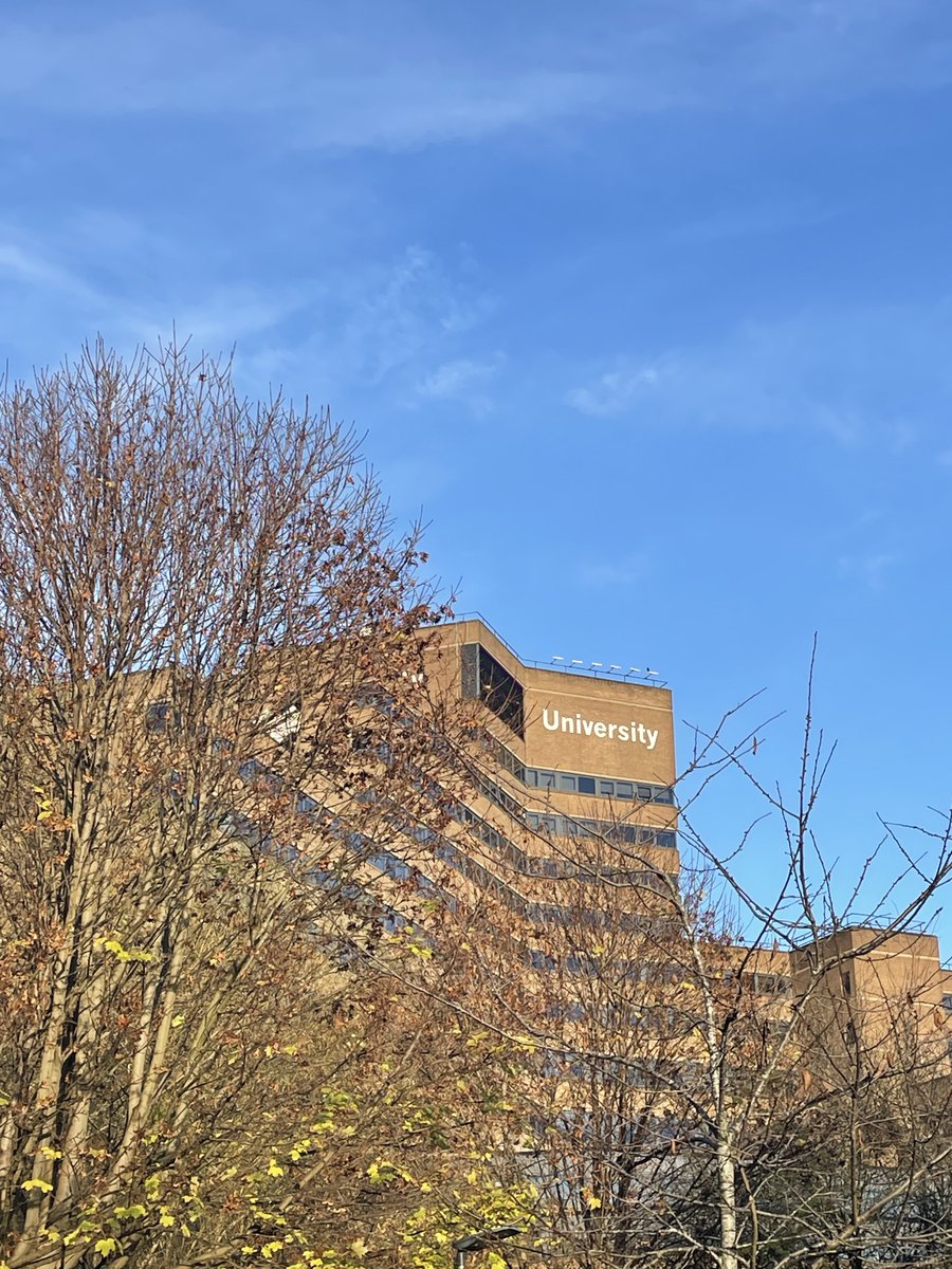 Prof Tim Thornton tweet media