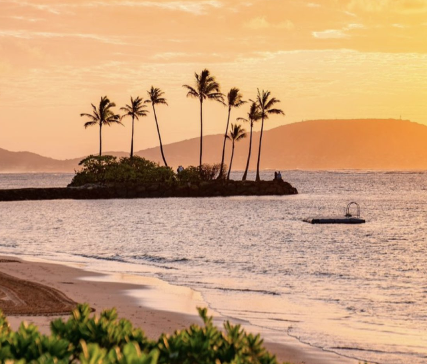 shakatime's tweet photo. Hawaiian sunrises and sunsets can't be beaten 🌅🌺

Happy Aloha Friday 🤙

#beachvibes #alohafriday #happyfriday #oceanview #hawaii #travelgoals #sunset #morningbliss #shakatime https://t.co/YJ1qMqCkS0