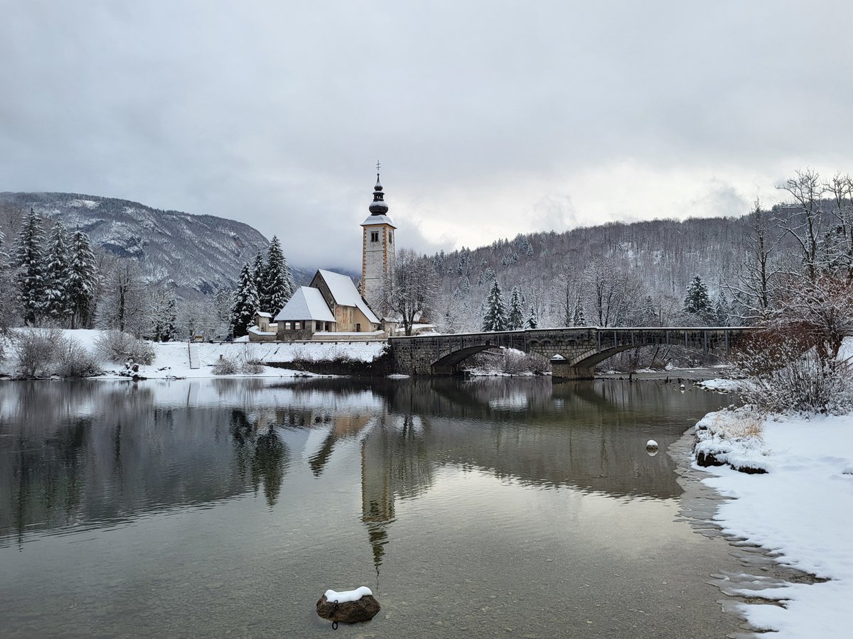Bohinj tweet media