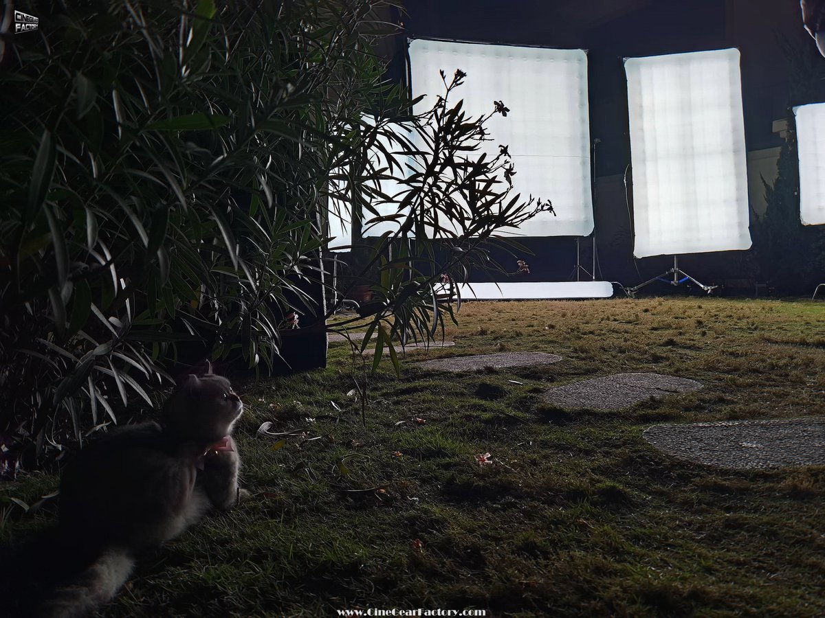 cinegearfactory's tweet photo. The cat popped up again this week...๐ฑ๐โค๏ธ
So lovely @cinegearfactory
#AirLEDCineLite #AIR88 #AirCarpet #AirSquare #AirPillow #AirTube #airlighting #AirLite1000 #airlite #cinegearfactorylight #filmlighting #videolight #cinelite #cinemalight #movielight #stagelighting https://t.co/BHGGd3btqJ