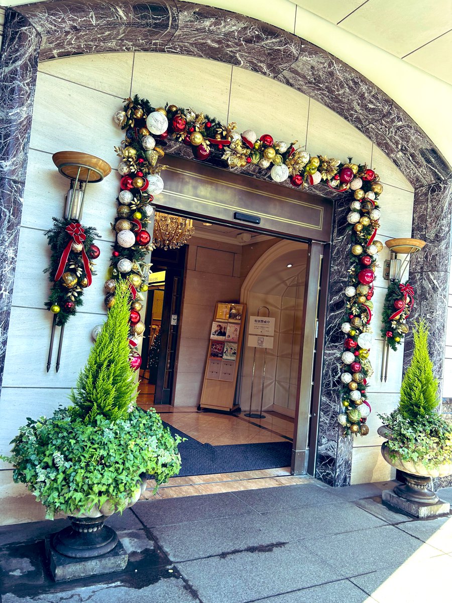 慶應倶楽部11月例会にて講演させていただきました。先輩方とのお話しも楽しくて素晴らしい時間を過ごすことができました！貴重な経験をありがとうございます。
会場の第一ホテル東京さんはクリスマス装飾がとても素敵です🎄✨