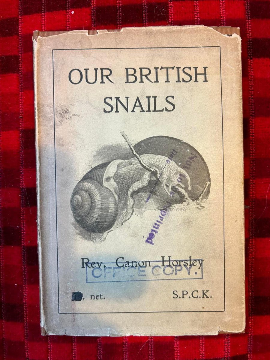 There were giants in the land once