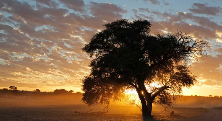 Cecile de Villiers (UCT) on the vulnerability of South Africa’s outdoor informal workers to rising temperatures &amp; how trade unions can protect their health

Now in the #COP29 Bill of Health blog by @AE_Yamin (<a href="/PetrieFlom/">Petrie-Flom Center</a>) &amp; <a href="/thalia_viveros/">Thalia Viveros</a> (MPIL/<a href="/TilburgU/">Tilburg University</a>)
blog.petrieflom.law.harvard.edu/2024/11/21/rei…