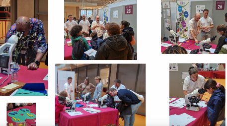 IDEEV_lab (@ideevl) on Twitter photo Retour en images sur #FDS2024 de l'IDEEV comme si vous y étiez, ou presque ici
✅ tinyurl.com/482vrz3a
Cet événement a aussi permis de communiquer sur la crise de la biodiversité en présentant la formation à la transition écologique des cadres de l'état.
<a href="/FeteScience/">Fête de la science</a> Retour en images sur #FDS2024 de l'IDEEV comme si vous y étiez, ou presque ici
✅ tinyurl.com/482vrz3a
Cet événement a aussi permis de communiquer sur la crise de la biodiversité en présentant la formation à la transition écologique des cadres de l'état.
<a href="/FeteScience/">Fête de la science</a>